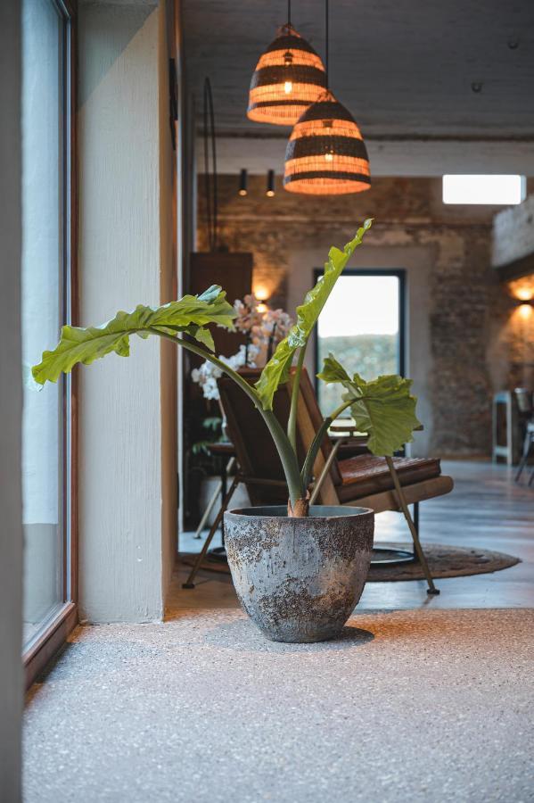 Bed & Breakfast Bbrut Brugge